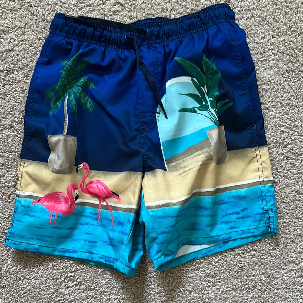 5 pairs of Old Navy Blue and Tan Swim shorts 
1 x XS
1 x XL
2 x M
1 x S